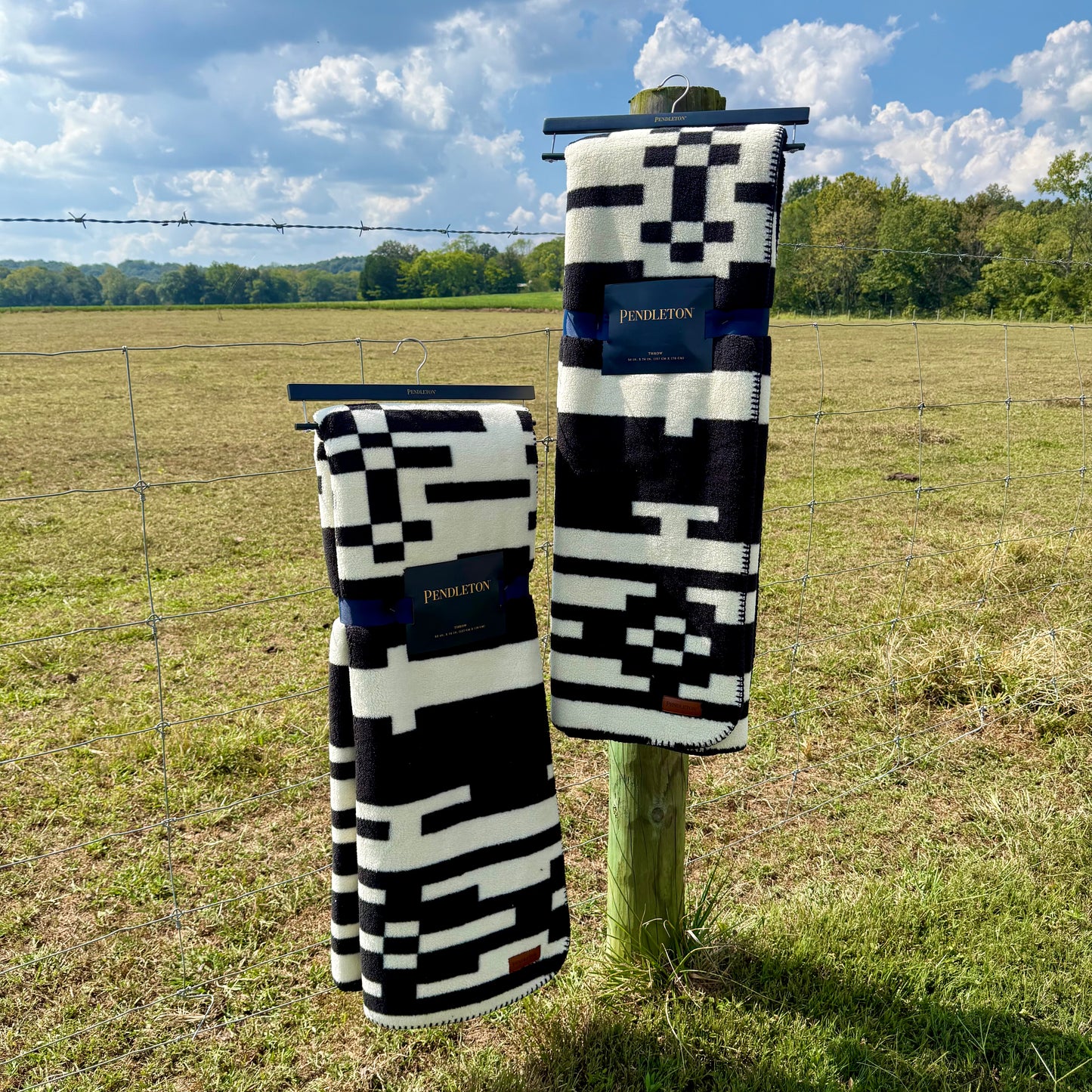 Black & White Pendleton Throw Blanket