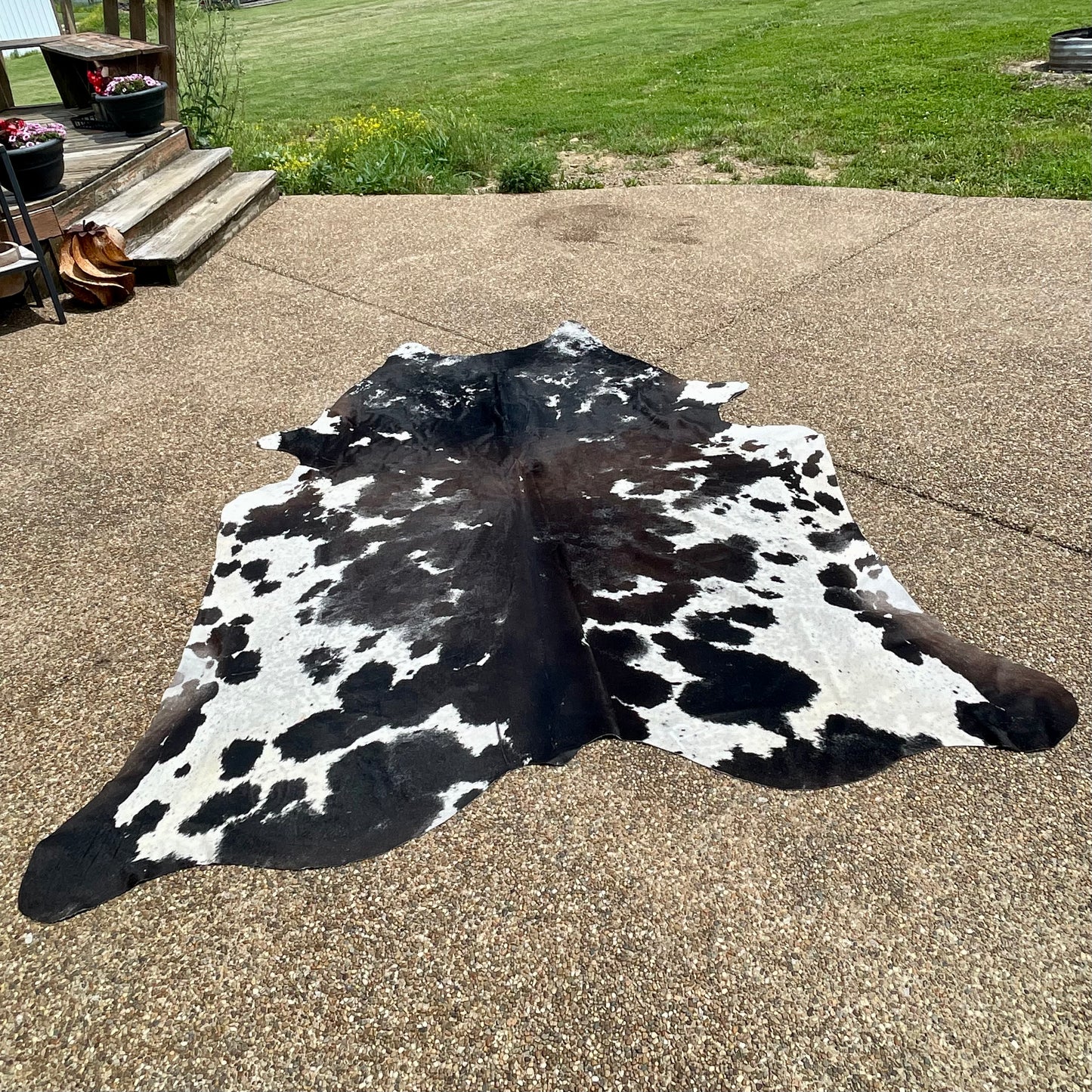 Cowhide 99" x 85"