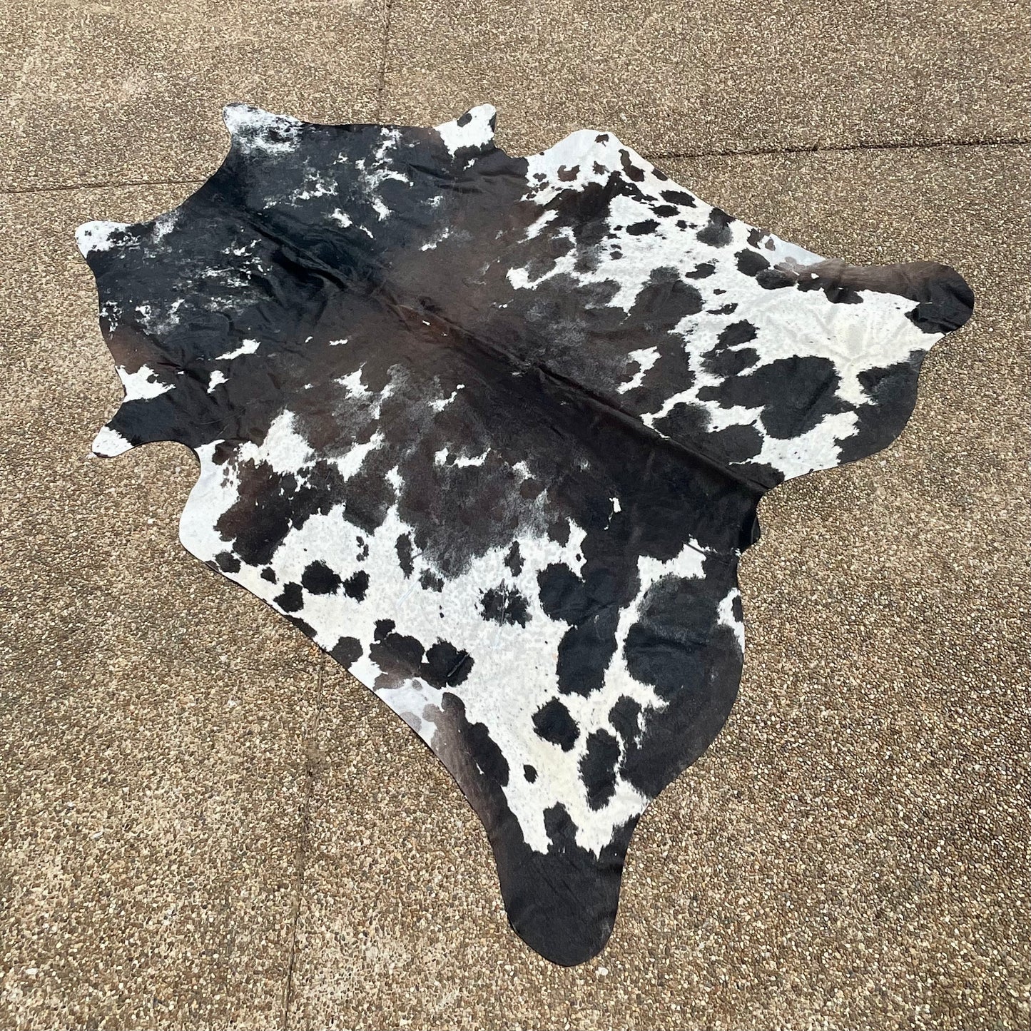 Cowhide 99" x 85"