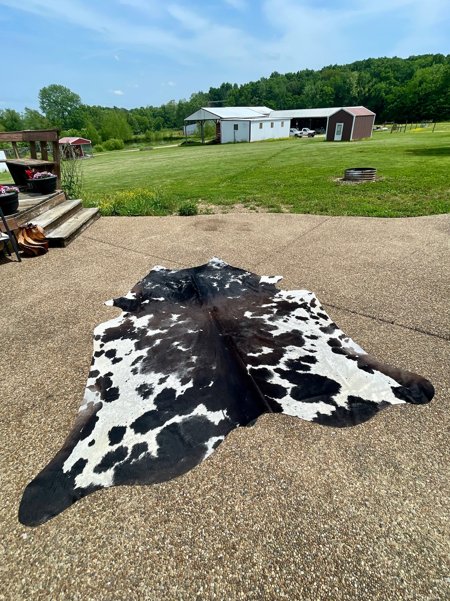 Cowhide 99" x 85"