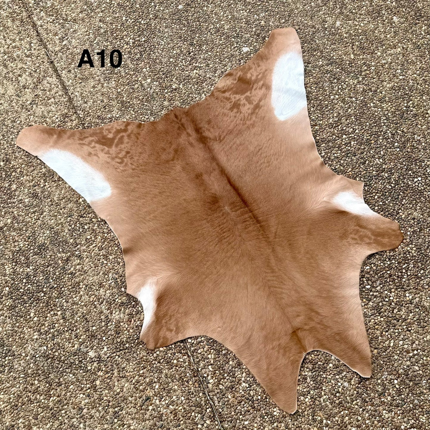 Calf Hide A10