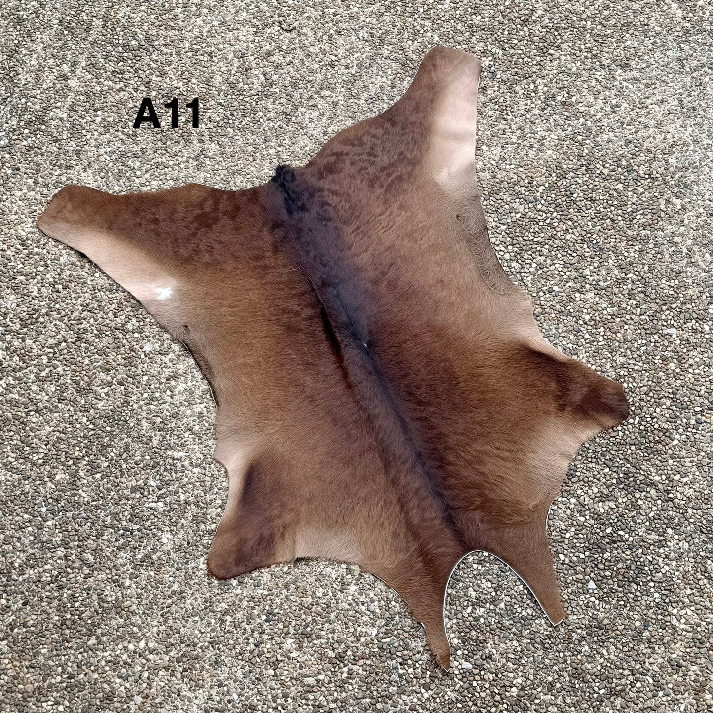 Calf Hide A11