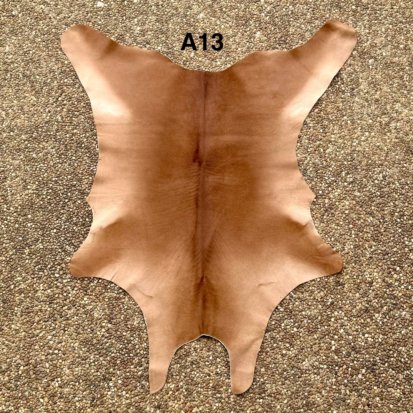 Calf Hide A13