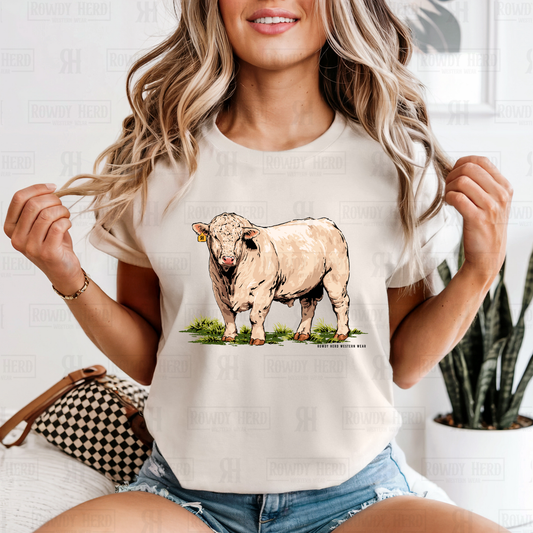 Charolais | Comfort Colors Tee, Gildan Sweatshirt or Hoodie