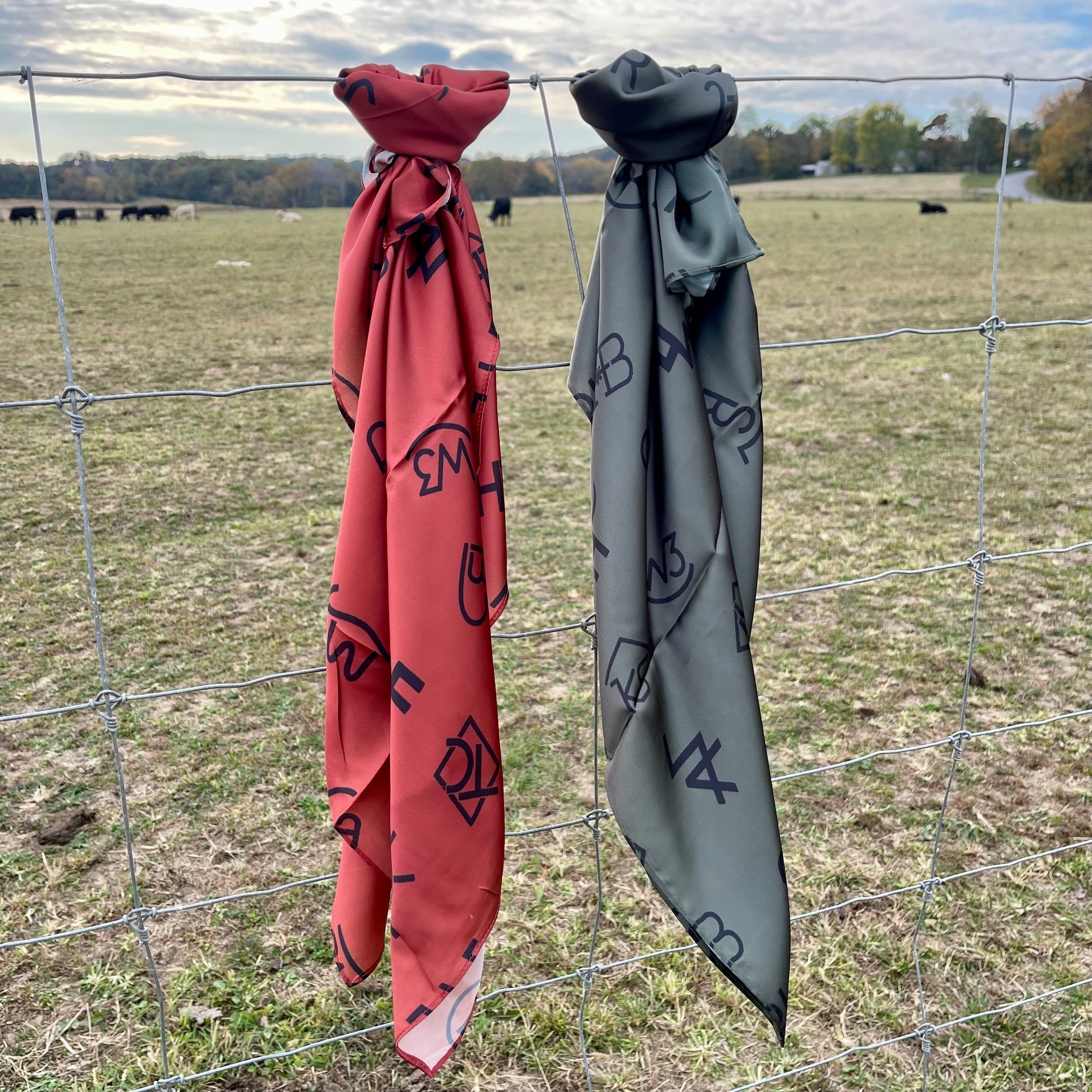 Branded Wild Rag – Rowdy Herd Western