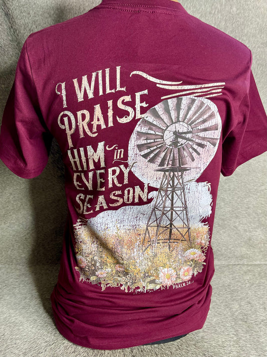 I Will Praise Him | Comfort Colors Tee, Gildan Sweatshirt or Hoodie