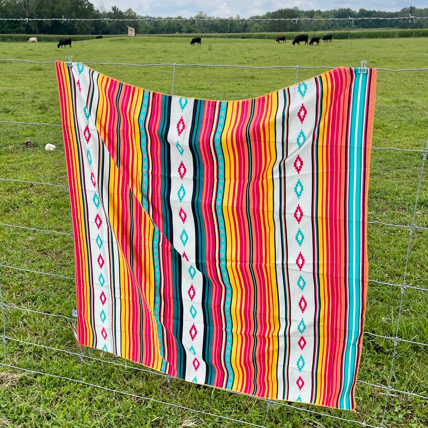 Somerset Serape Wild Rag