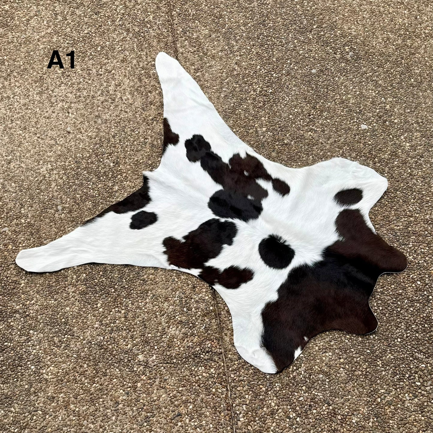Calf Hide A1