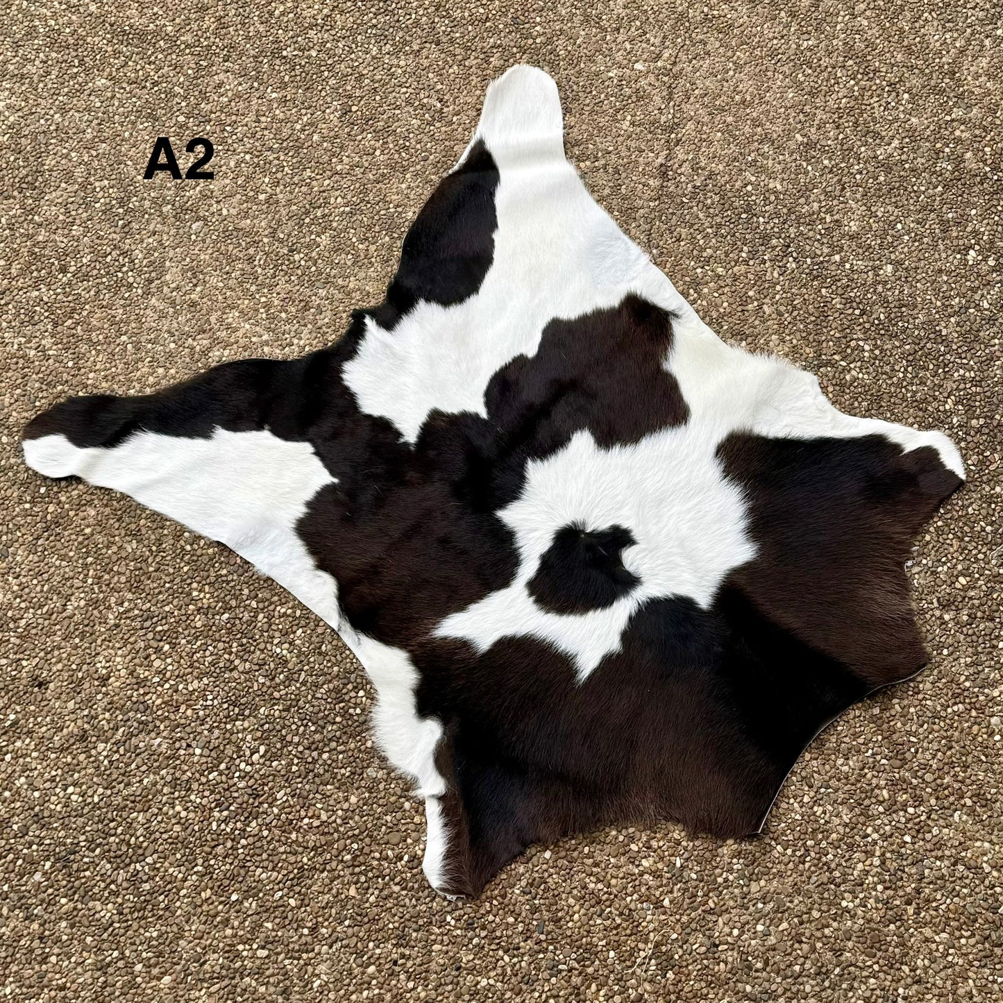 Calf Hide A2