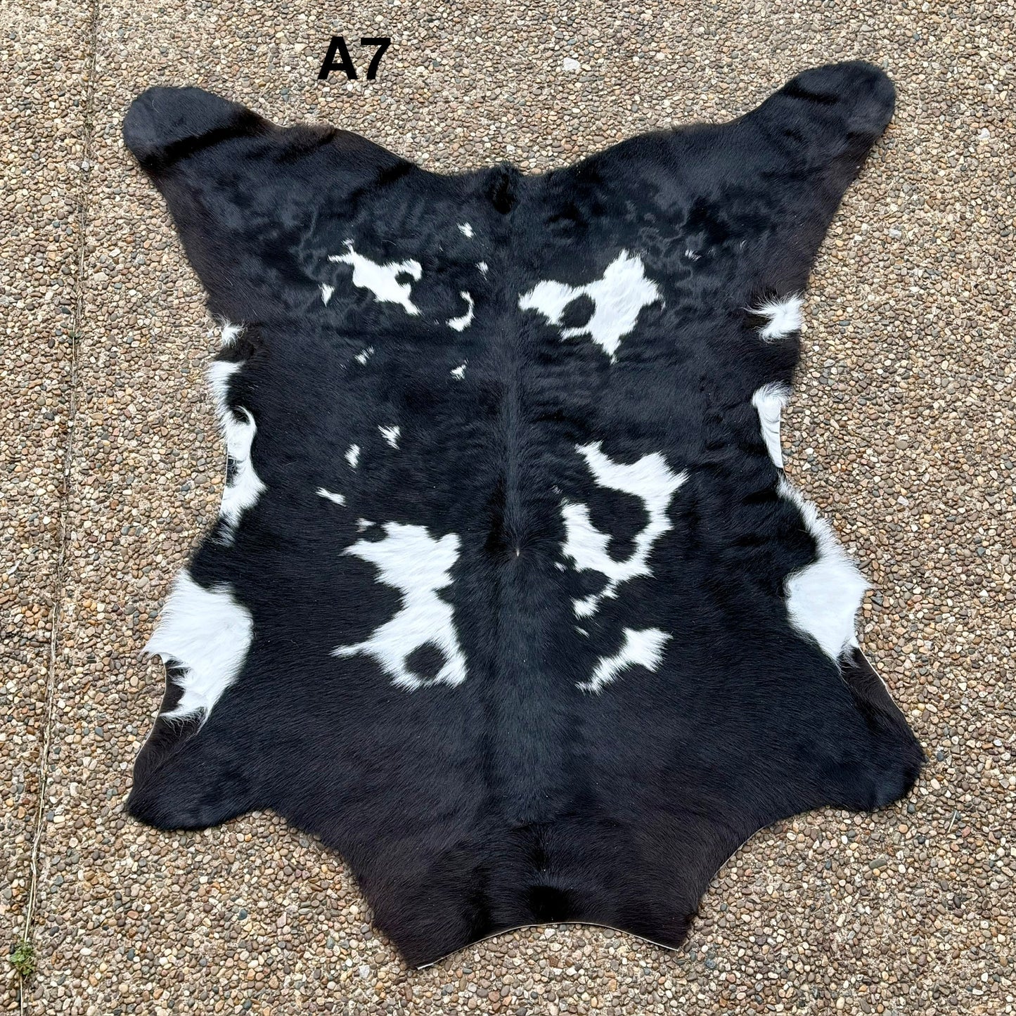 Calf Hide A7