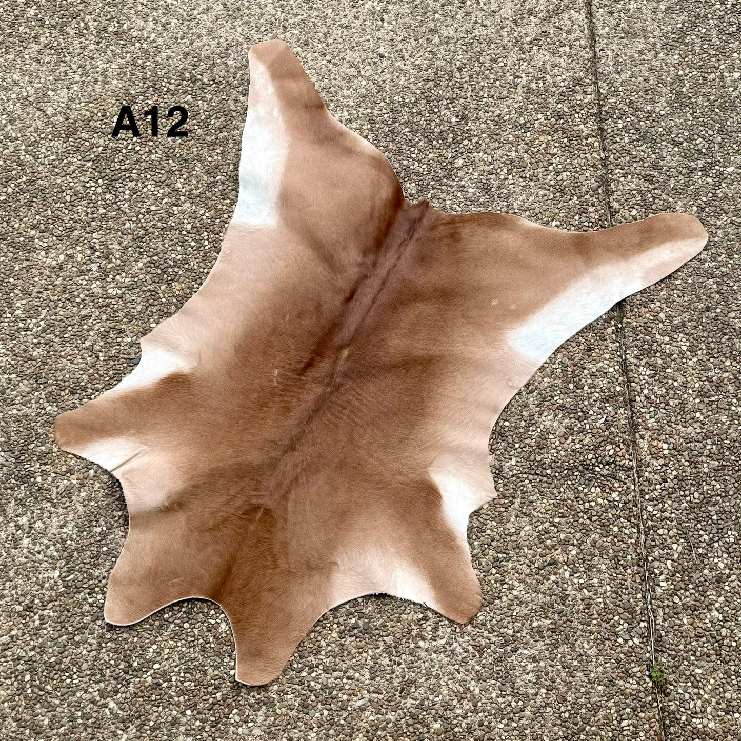 Calf Hide A12
