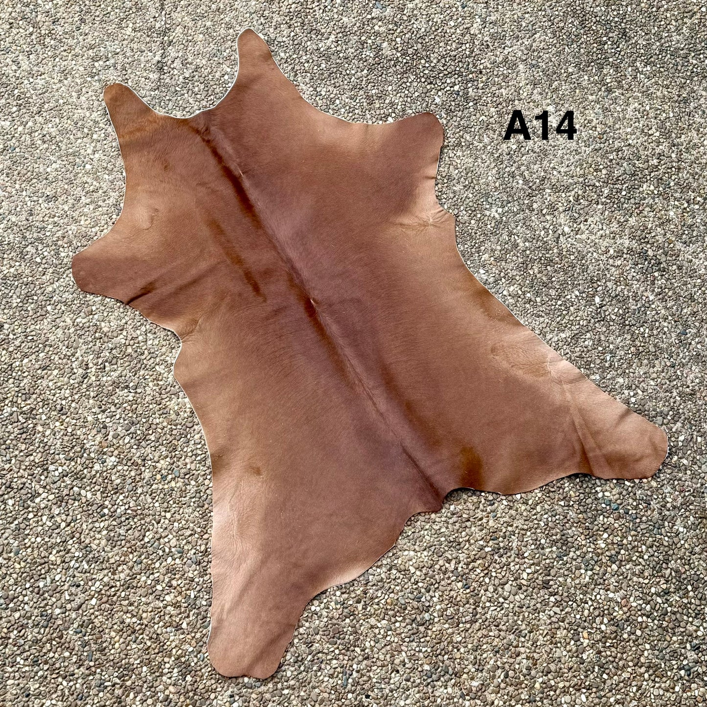 Calf Hide A14