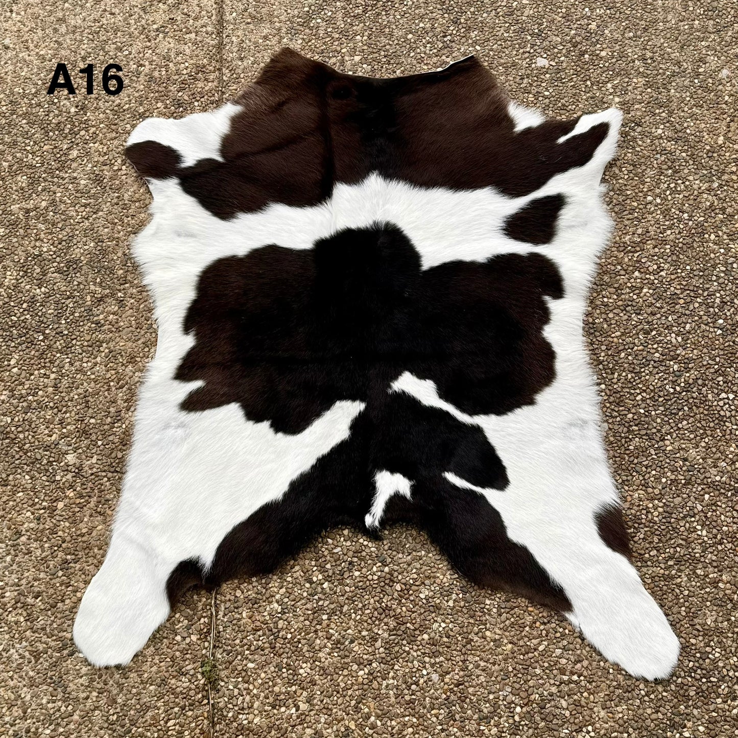 Calf Hide A16
