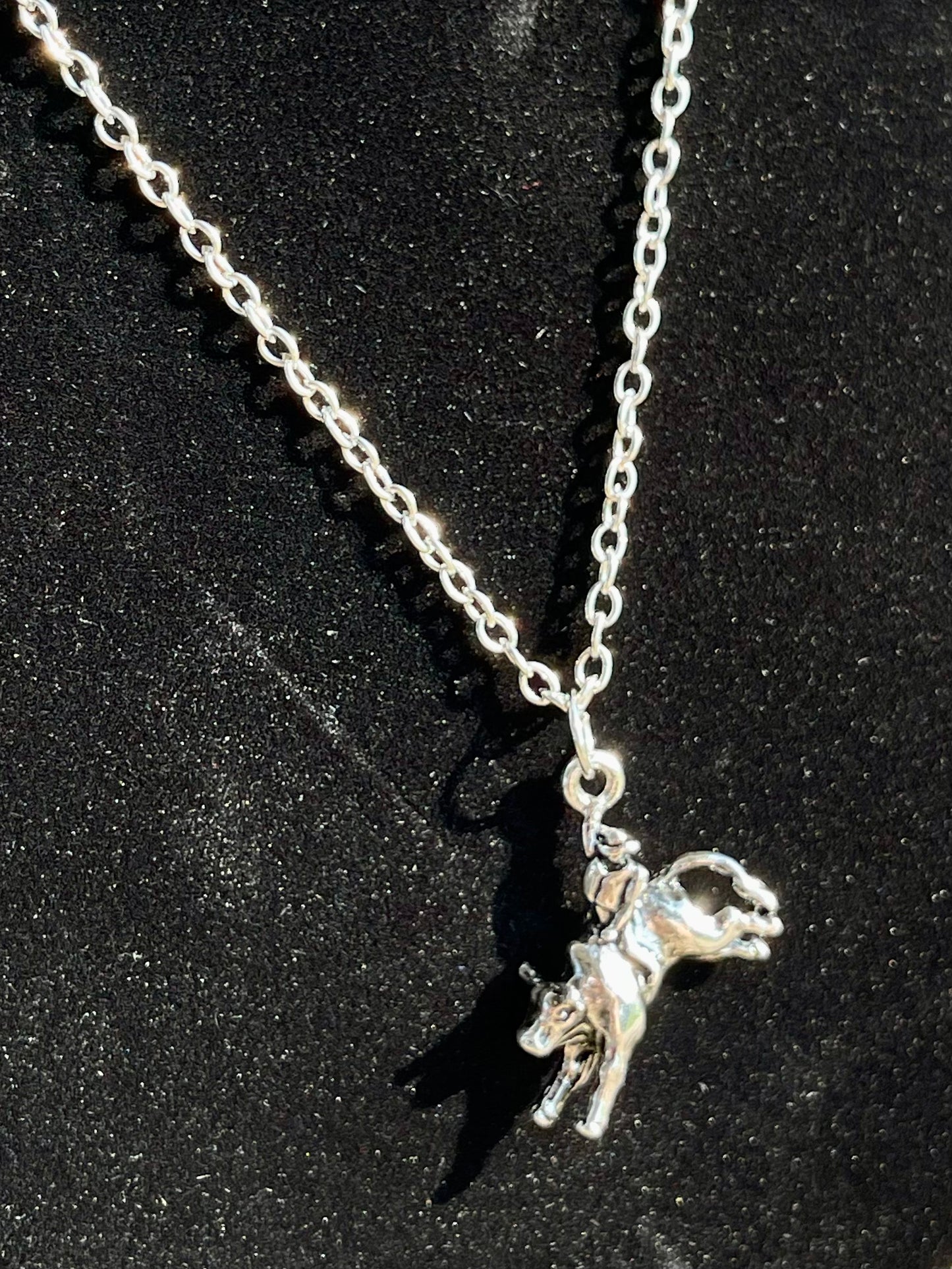 Bull Rider Necklace