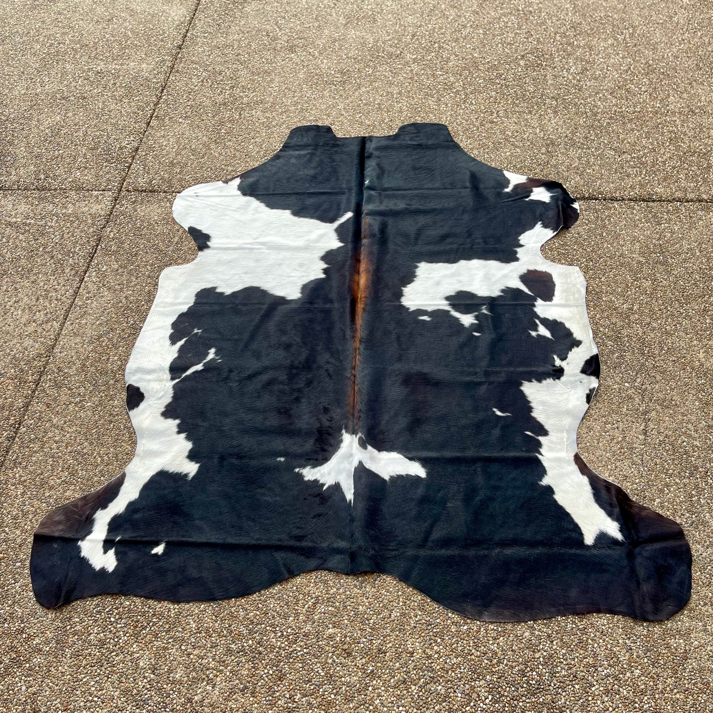 Cowhide 86"x78"